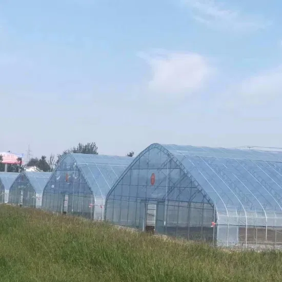 La máquina esqueleto de invernadero de sandía entrega accesorios de invernadero de forma gratuita