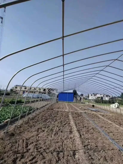 Tuberías de invernadero de berenjena en existencia Las tuberías de invernadero de sandía son populares y se personalizan según las necesidades con el sistema de plantación hidropónica