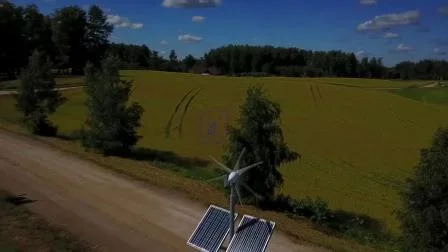 Más de 24 años de experiencia Módulo de panel solar Sistema de alumbrado público LED solar para exteriores con batería